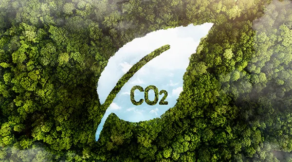 Fengqiu Crane Pump Co. Proudly Awarded the Shaoxing City Green Low-Carbon Factory Designation