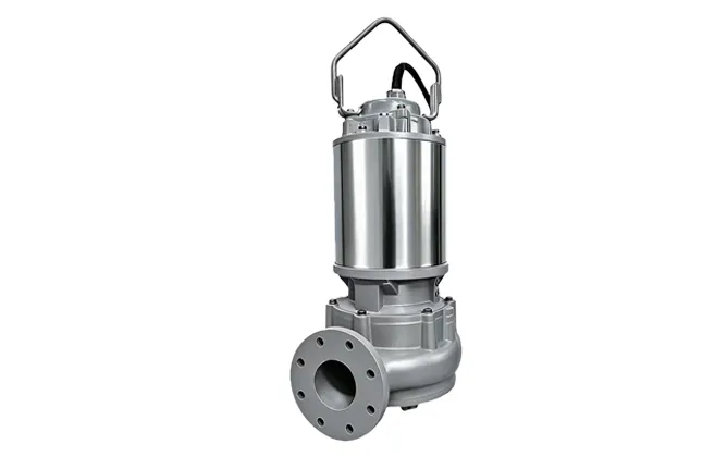 internal recirculation pump